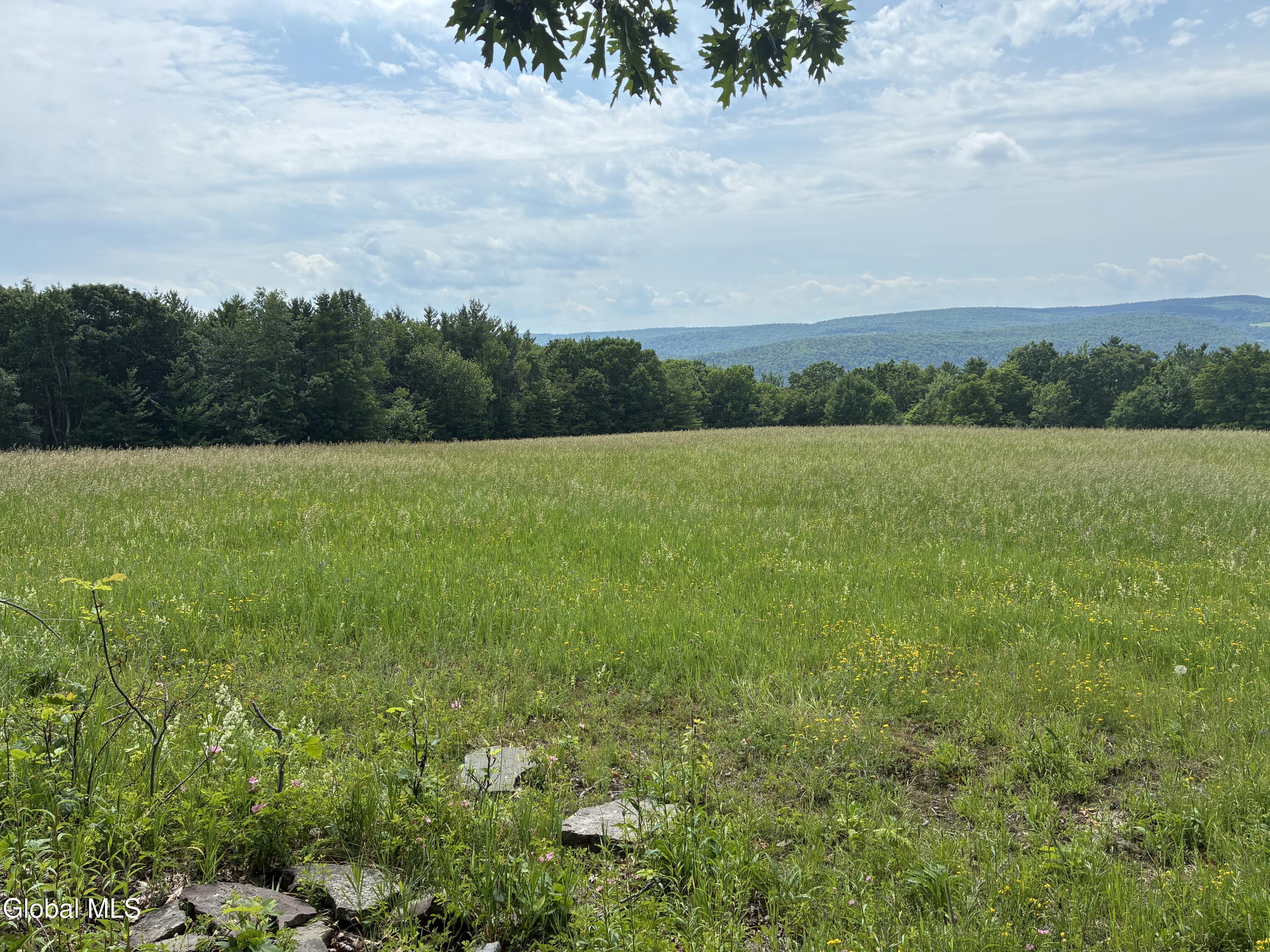 00 Debar Hill Road Middleburgh NY 12122