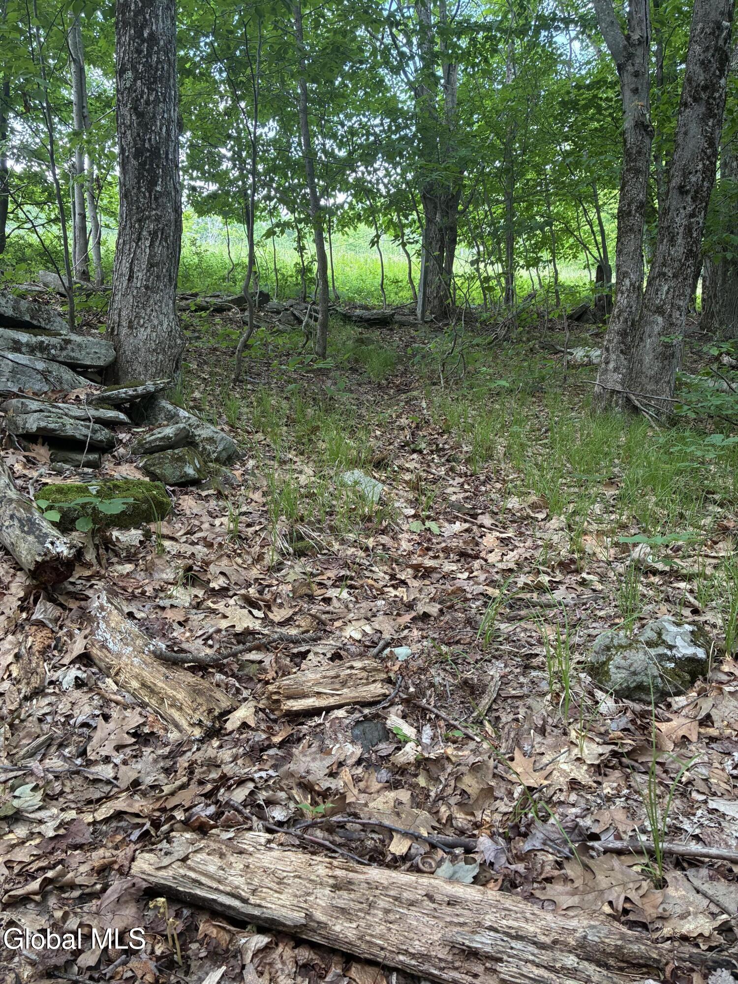 00 Debar Hill Road Middleburgh NY 12122