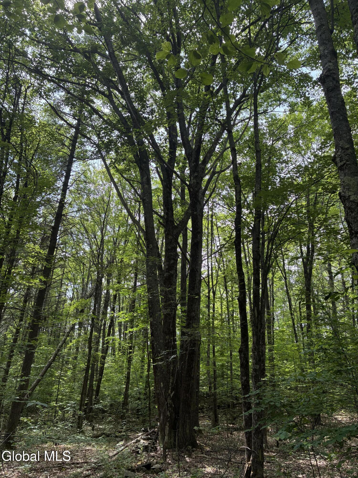 00 Debar Hill Road Middleburgh NY 12122