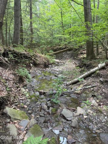 00 Debar Hill Road Middleburgh NY 12122