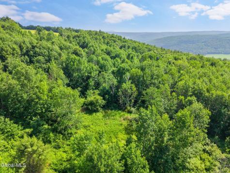 00 Debar Hill Road Middleburgh NY 12122