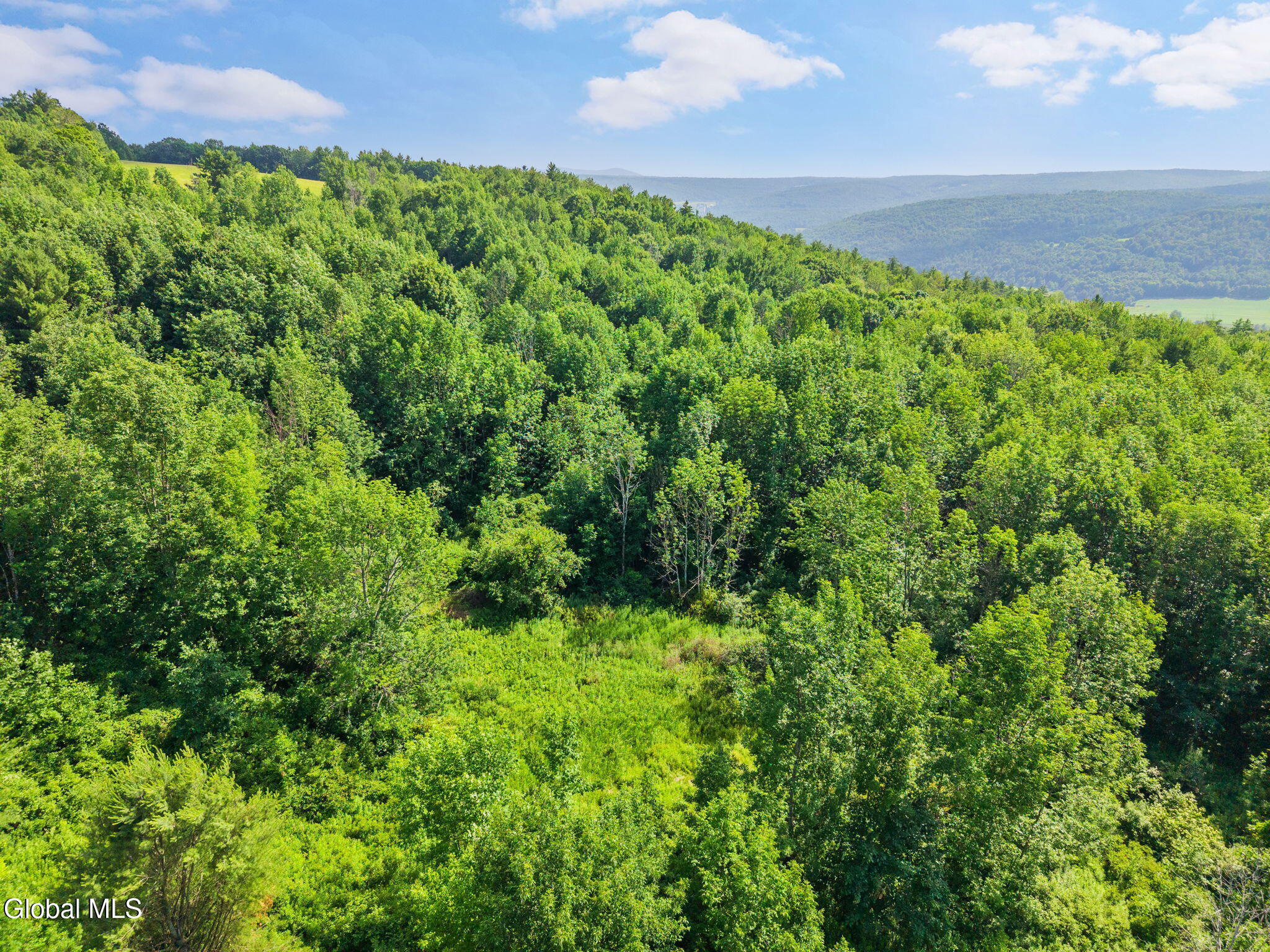 00 Debar Hill Road Middleburgh NY 12122