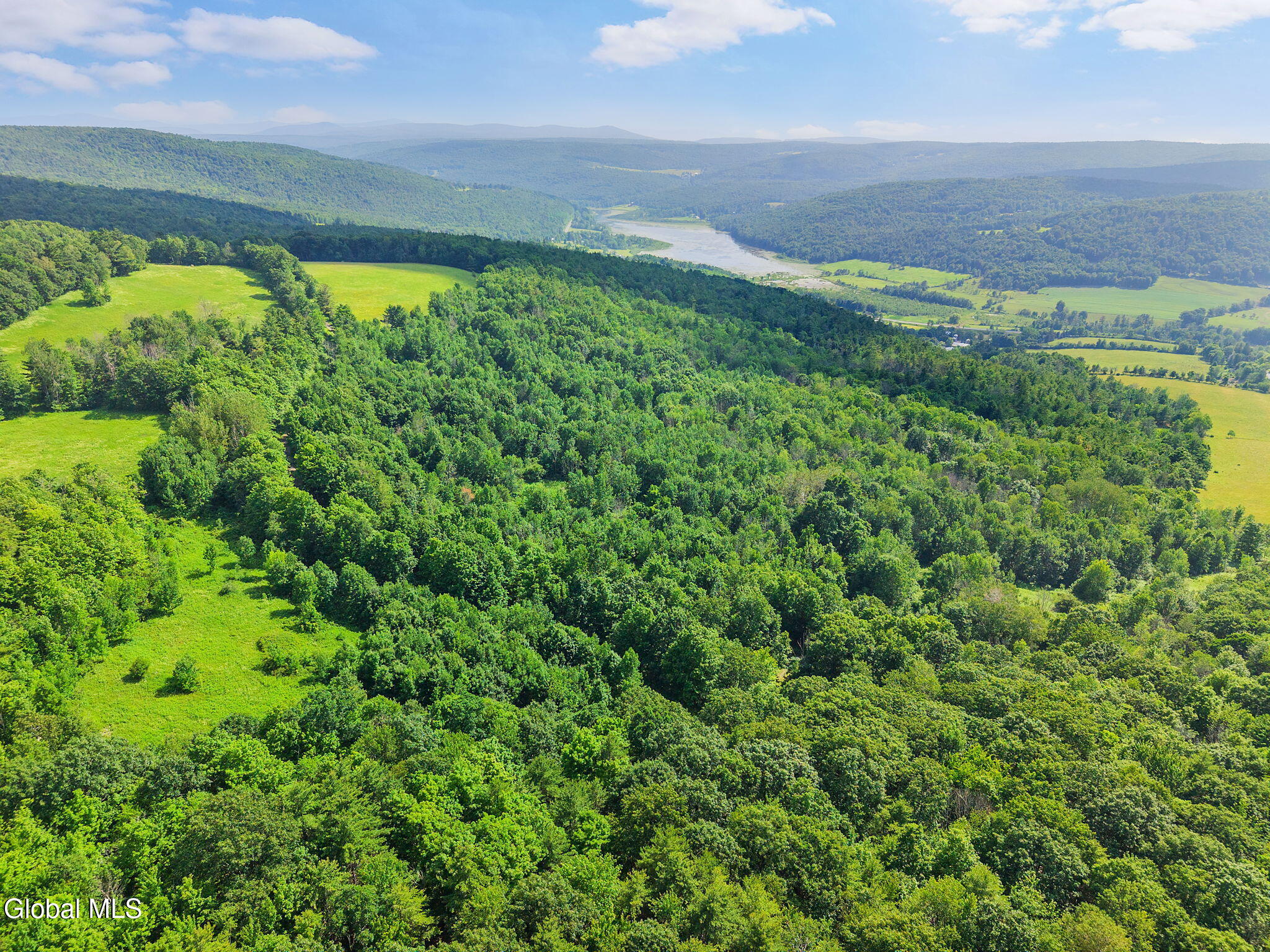 00 Debar Hill Road Middleburgh NY 12122