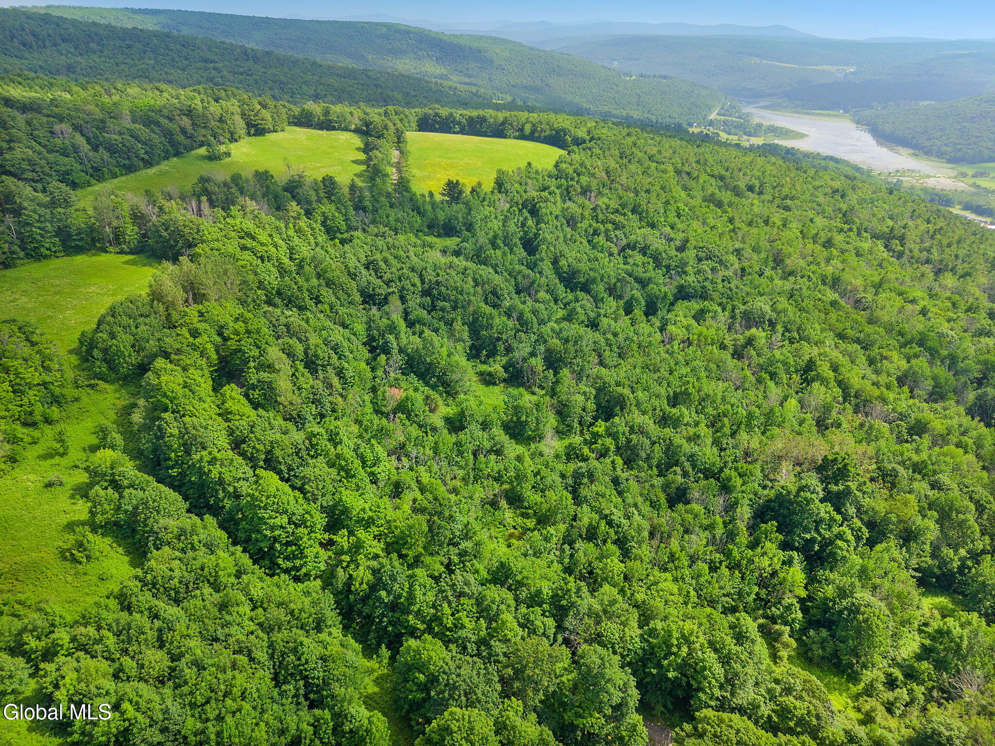 00 Debar Hill Road Middleburgh NY 12122