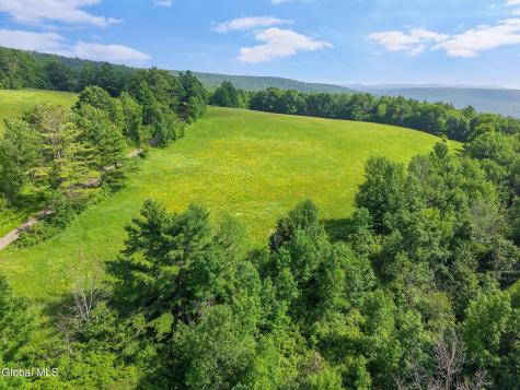 00 Debar Hill Road Middleburgh NY 12122