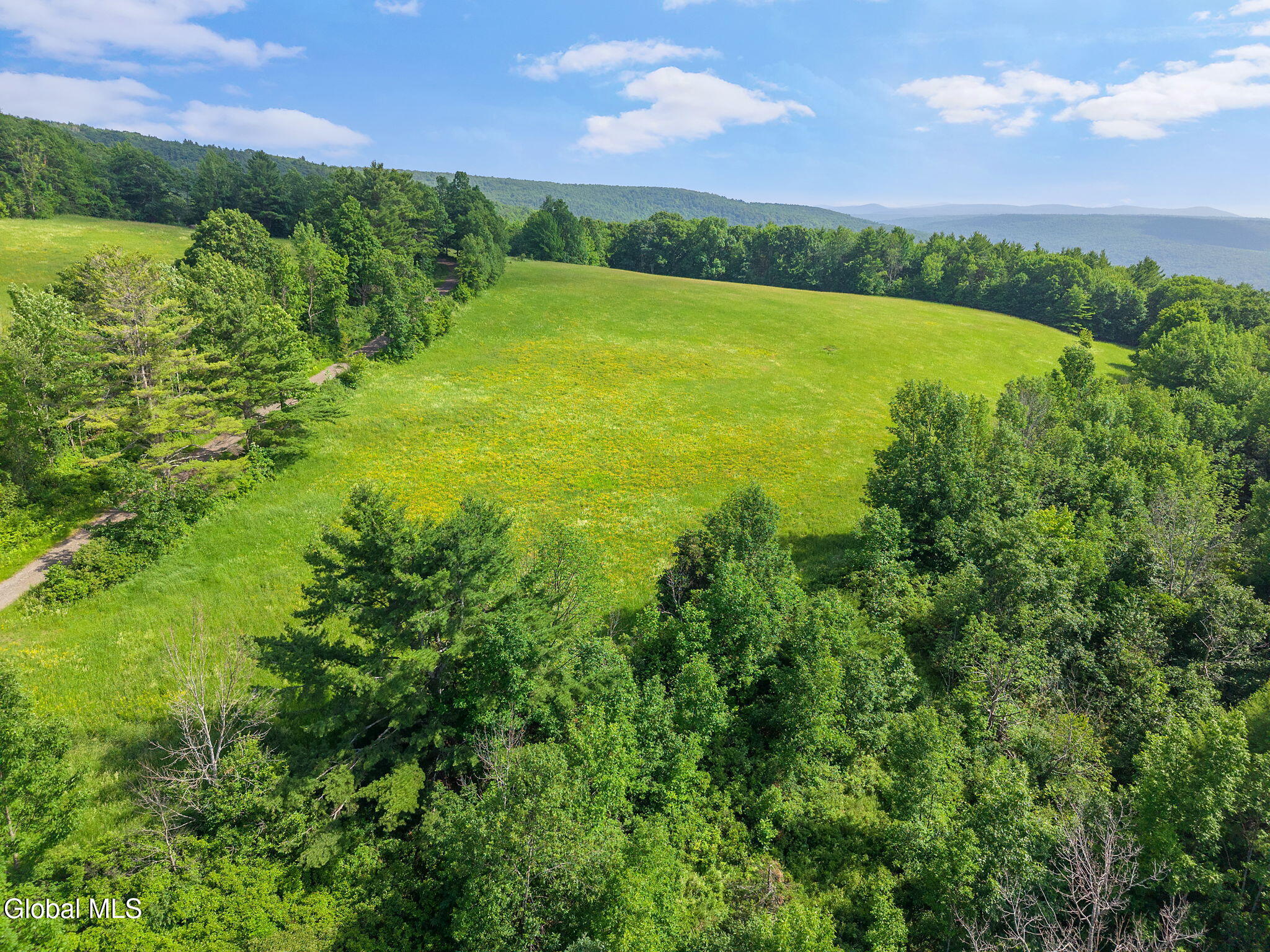 00 Debar Hill Road Middleburgh NY 12122