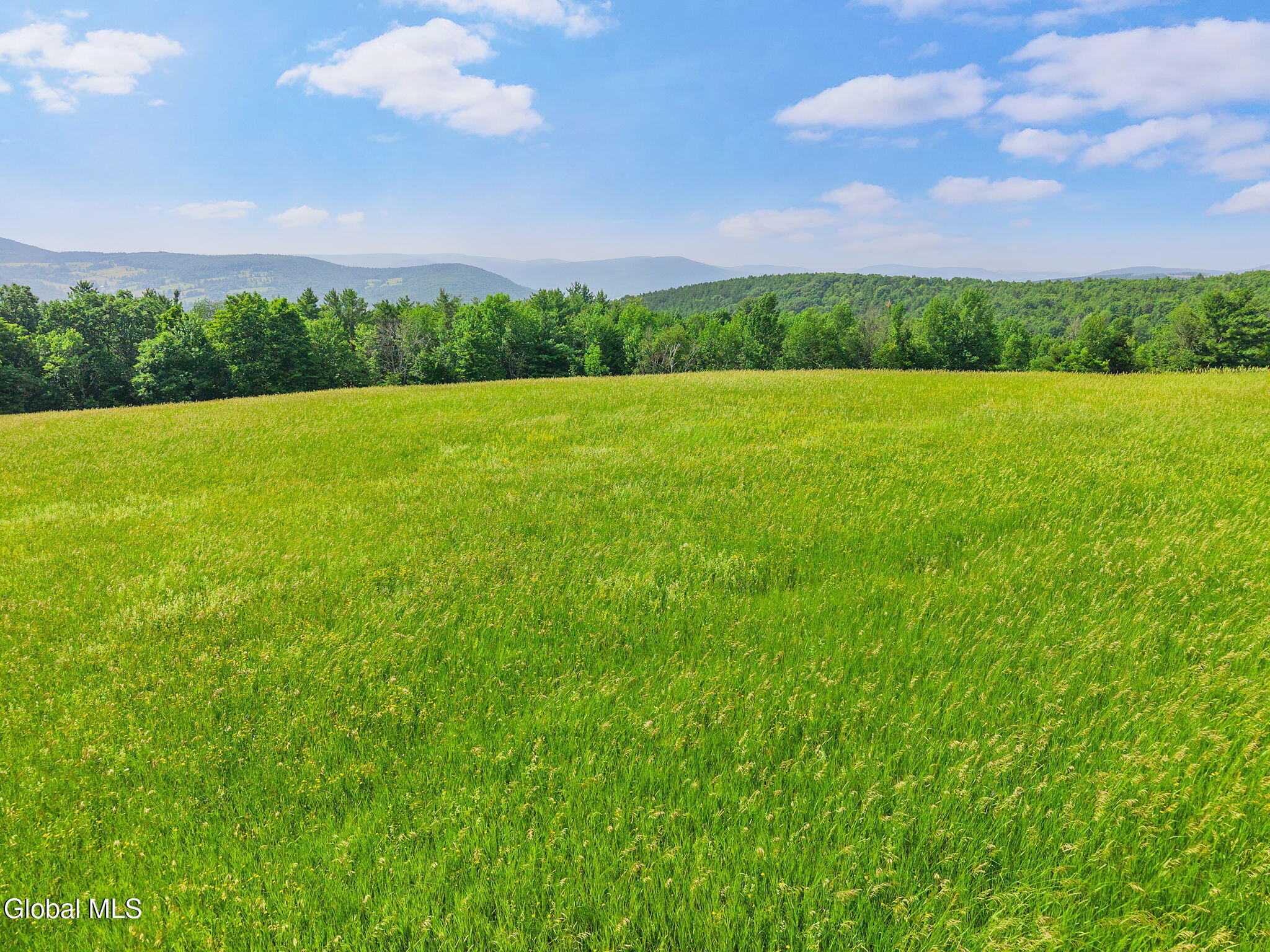 00 Debar Hill Road Middleburgh NY 12122