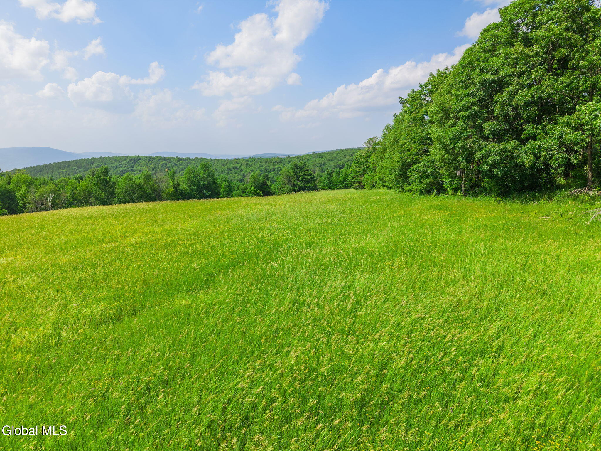 00 Debar Hill Road Middleburgh NY 12122