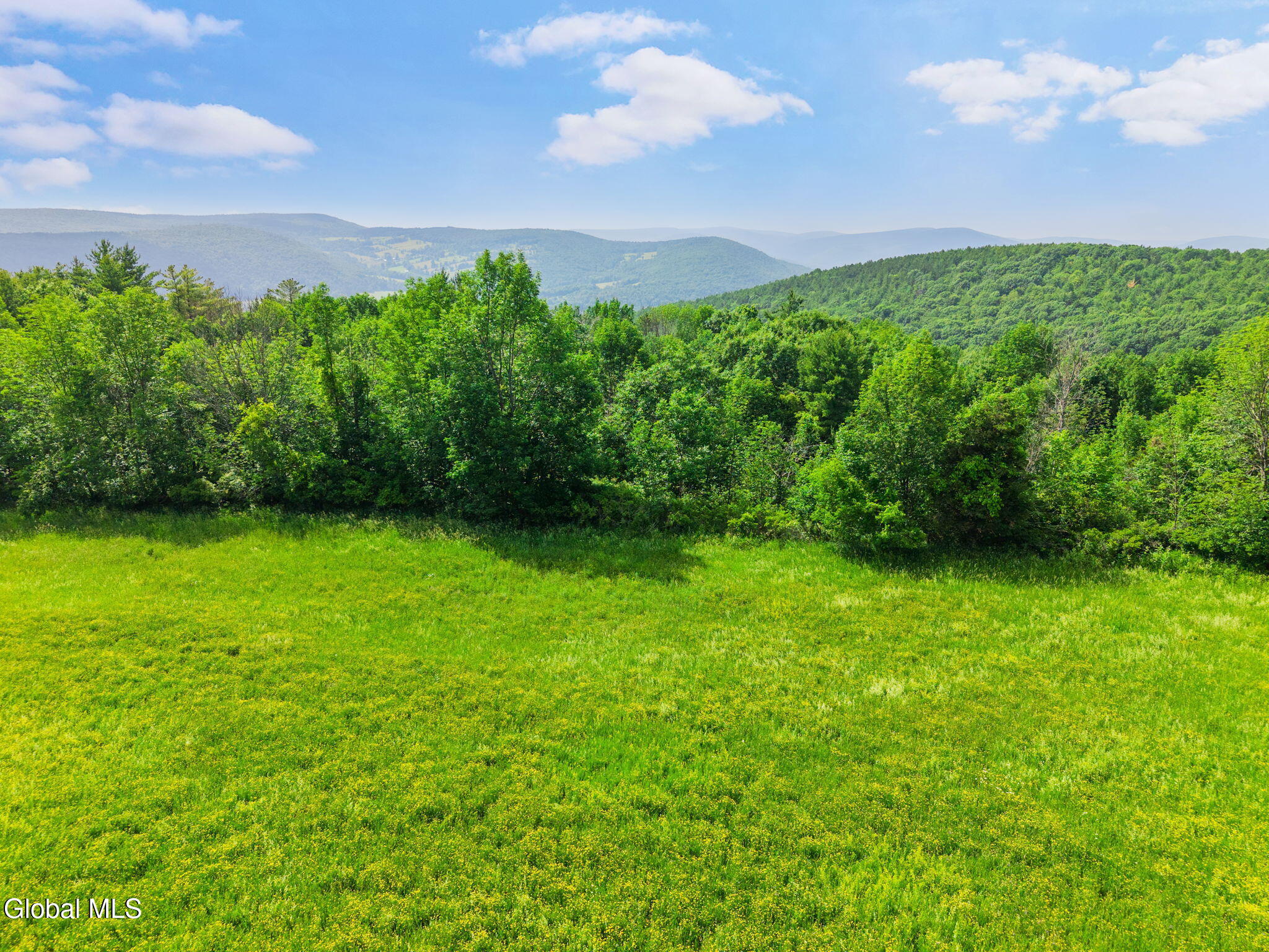 00 Debar Hill Road Middleburgh NY 12122