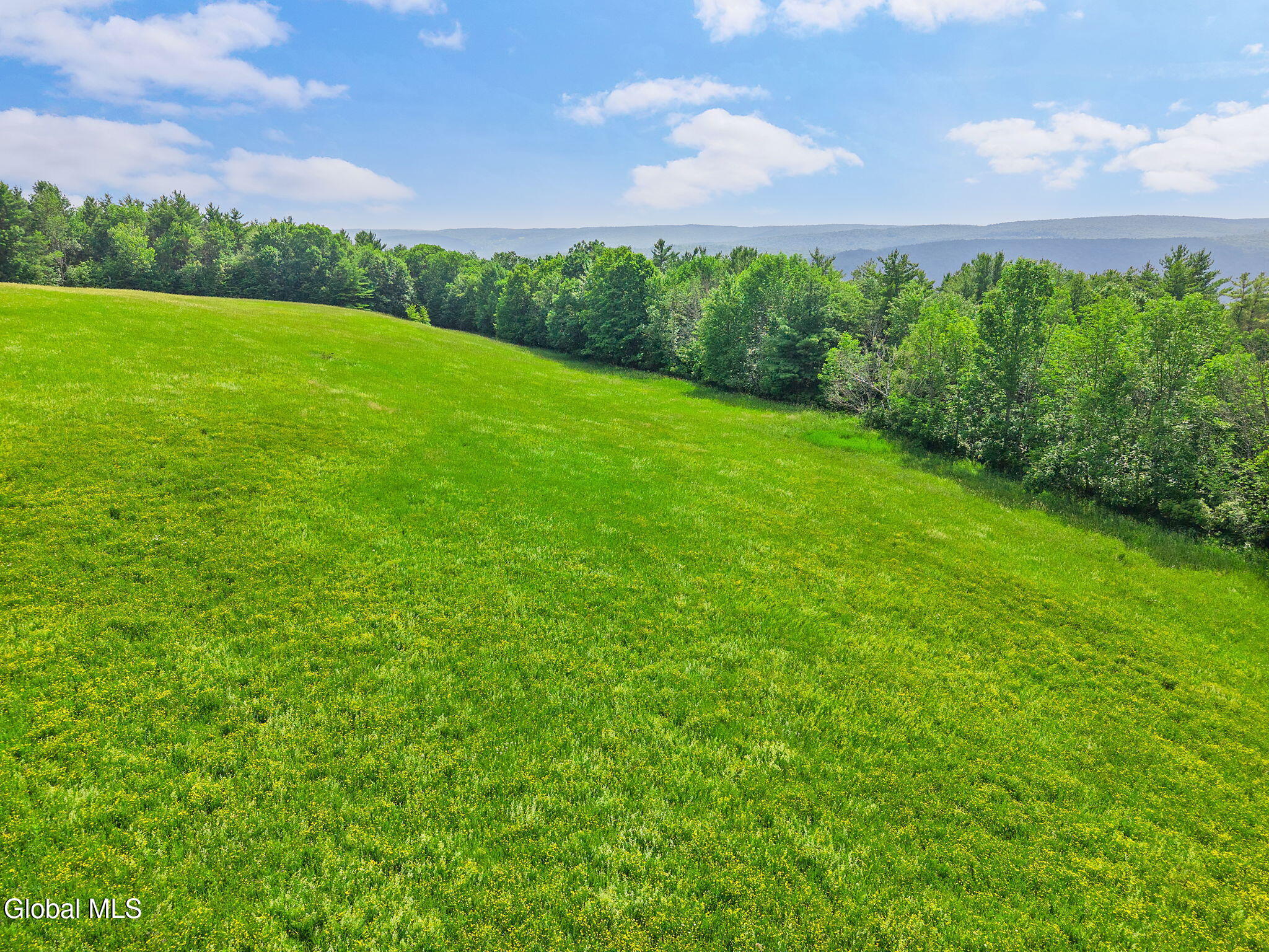00 Debar Hill Road Middleburgh NY 12122