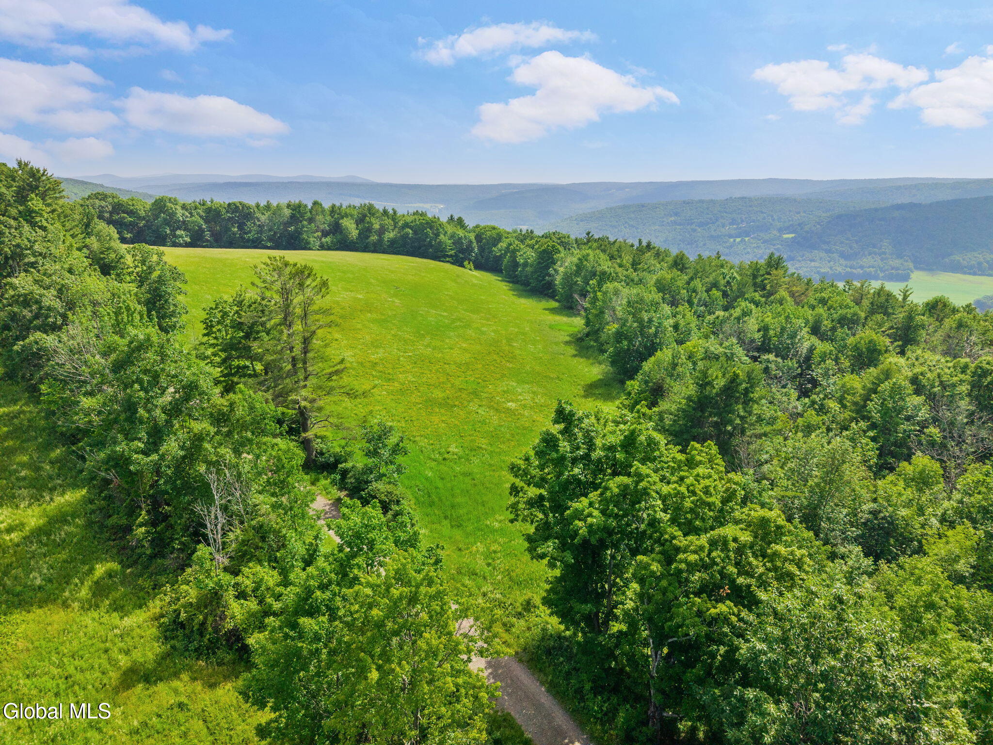 00 Debar Hill Road Middleburgh NY 12122