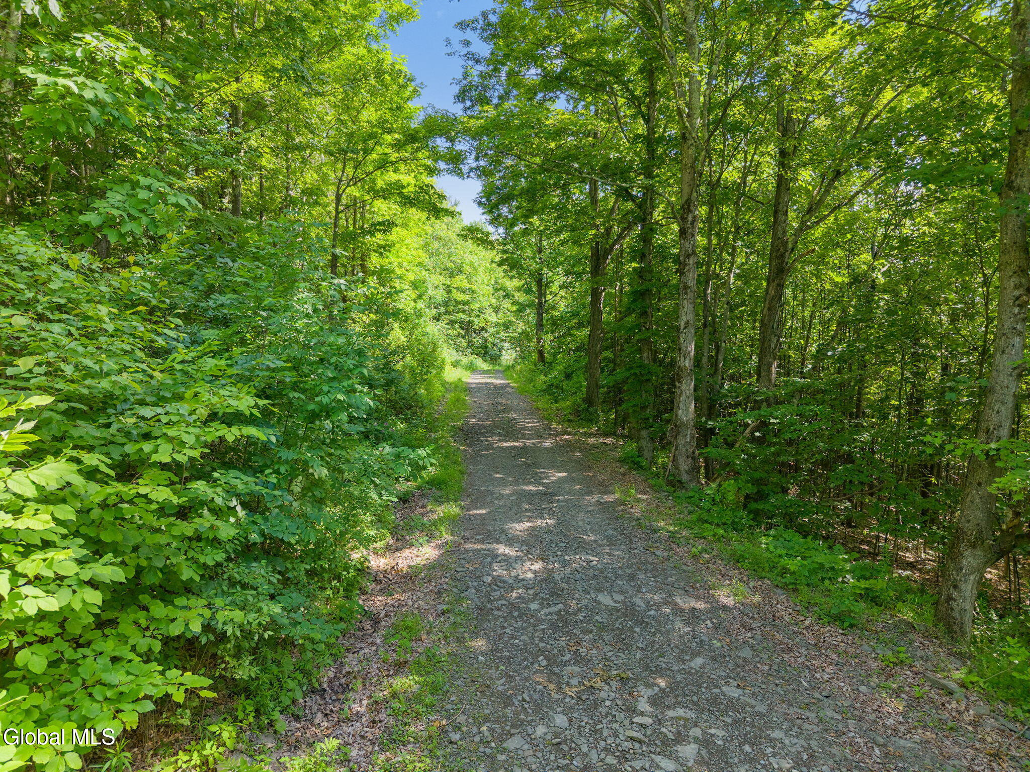 00 Debar Hill Road Middleburgh NY 12122