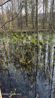 6025 Gardner Road Altamont NY 12009