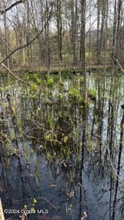6025 Gardner Road Altamont NY 12009