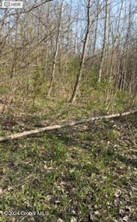 6025 Gardner Road Altamont NY 12009