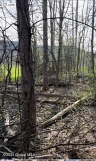 6025 Gardner Road Altamont NY 12009