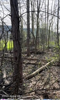 6025 Gardner Road Altamont NY 12009