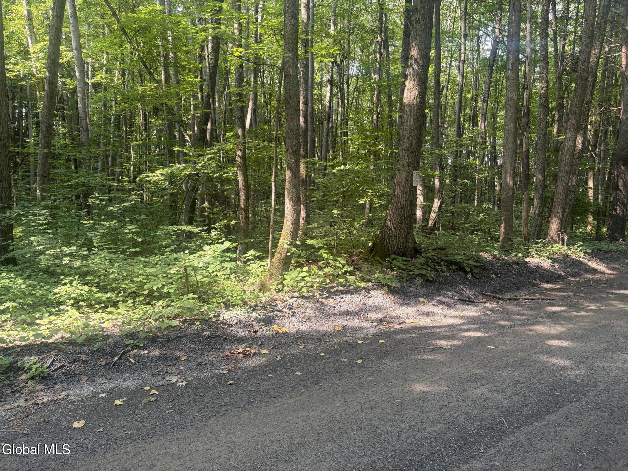 L10.4 Saunders Road Argyle NY 12809