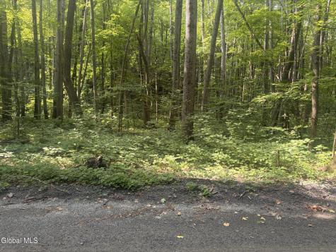 L10.4 Saunders Road Argyle NY 12809