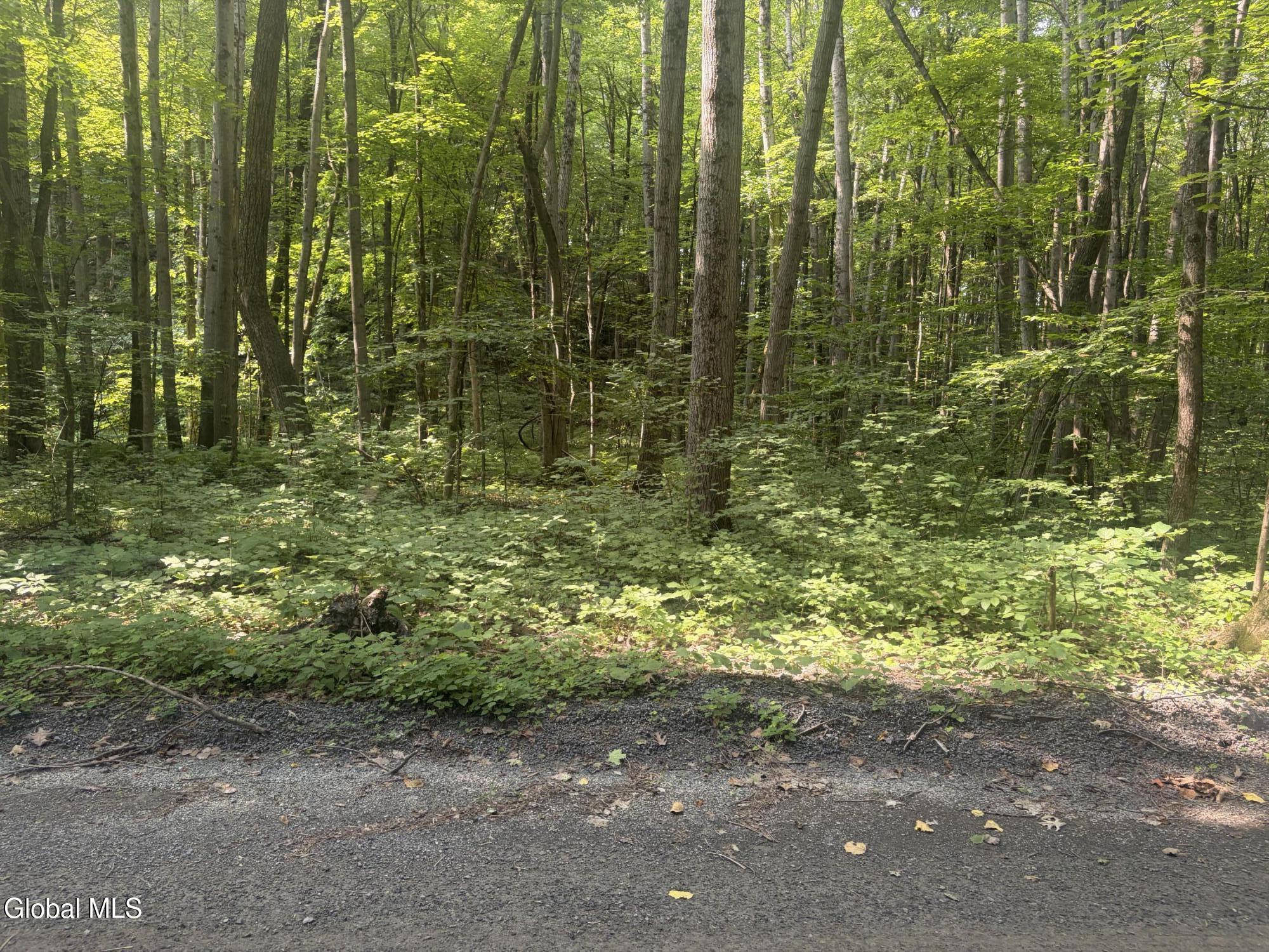 L10.4 Saunders Road Argyle NY 12809