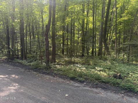 L10.4 Saunders Road Argyle NY 12809