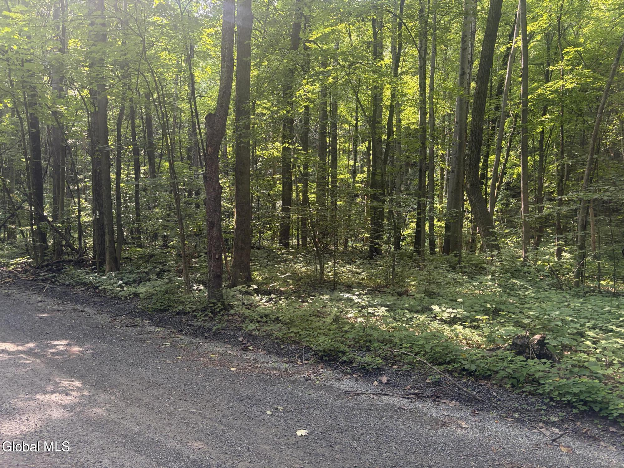 L10.4 Saunders Road Argyle NY 12809