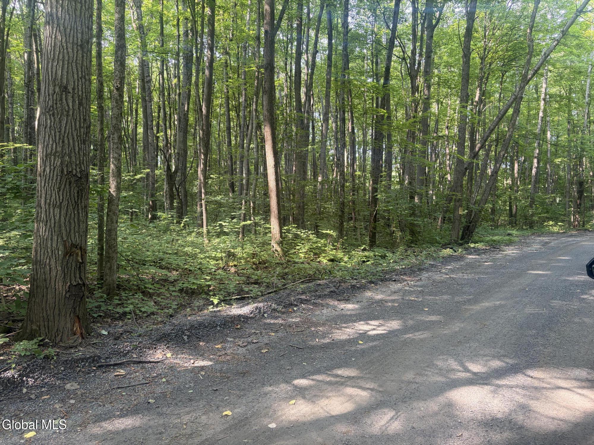 L10.4 Saunders Road Argyle NY 12809