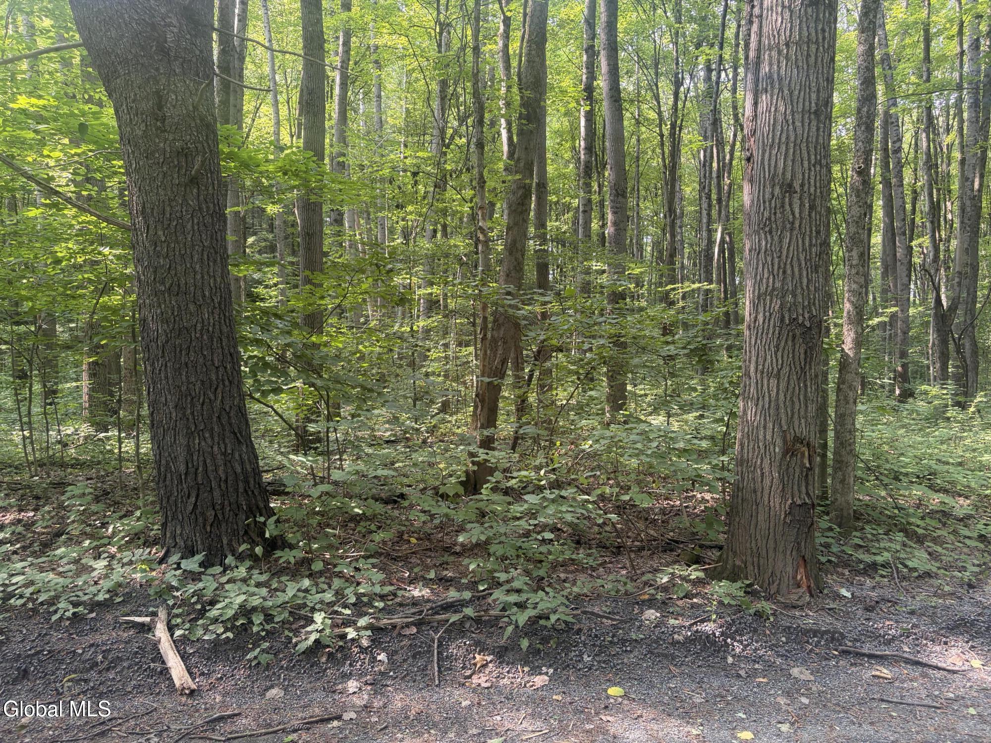 L10.4 Saunders Road Argyle NY 12809