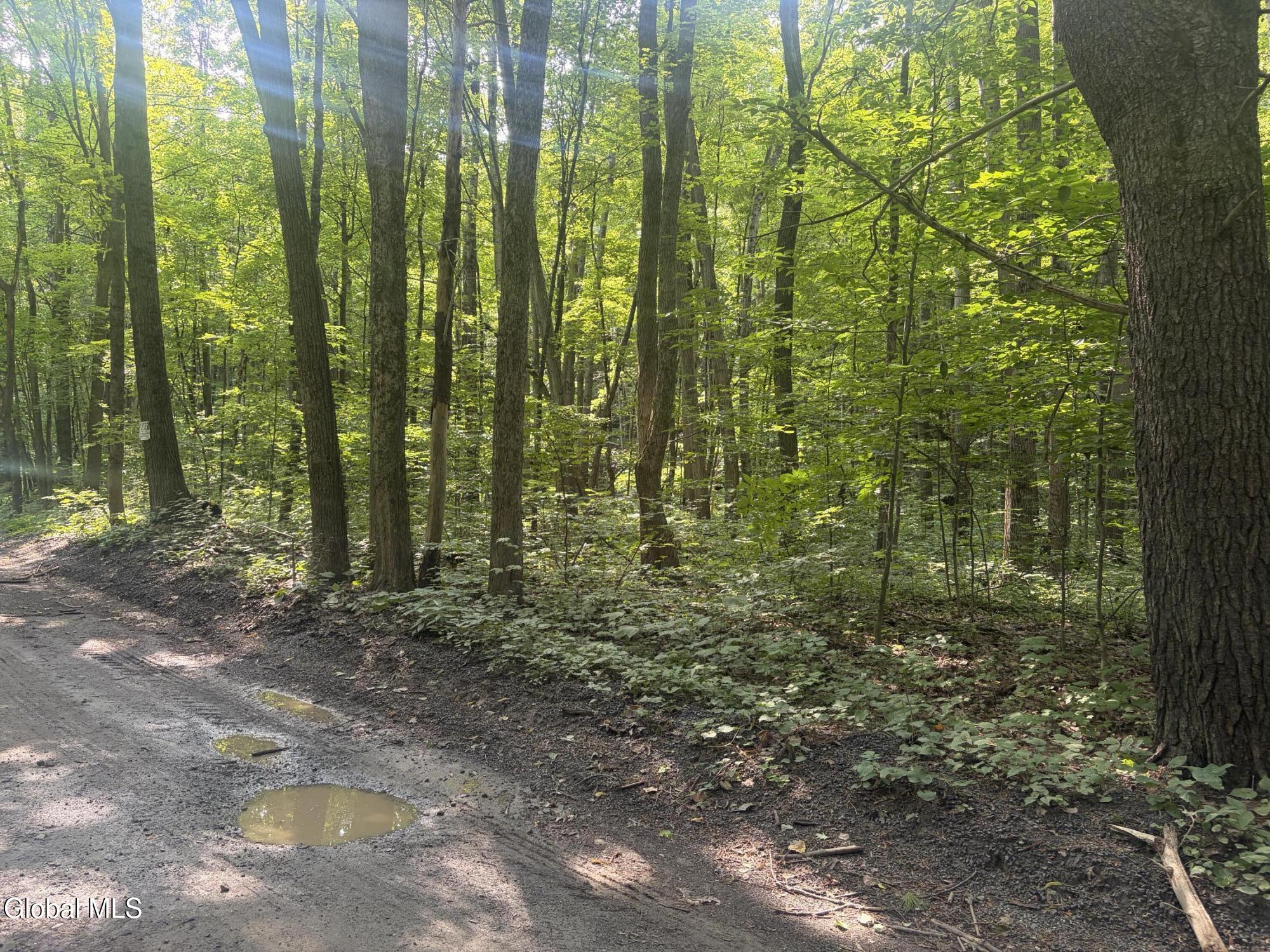 L10.4 Saunders Road Argyle NY 12809