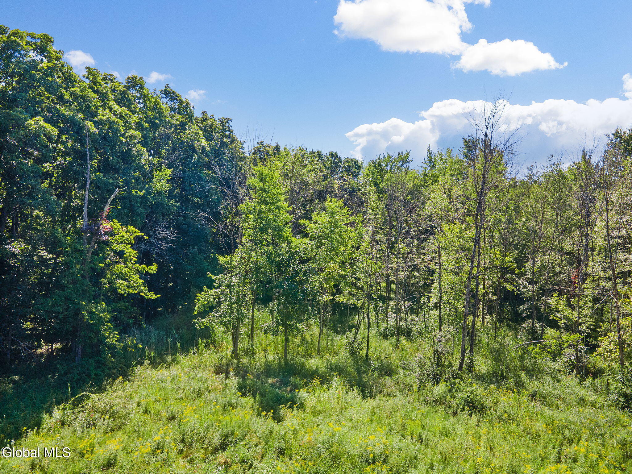 202 Meadowbrook Road Saratoga Springs NY 12866
