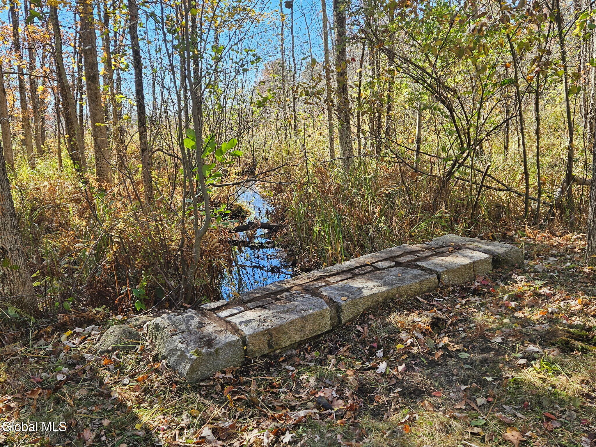 202 Meadowbrook Road Saratoga Springs NY 12866