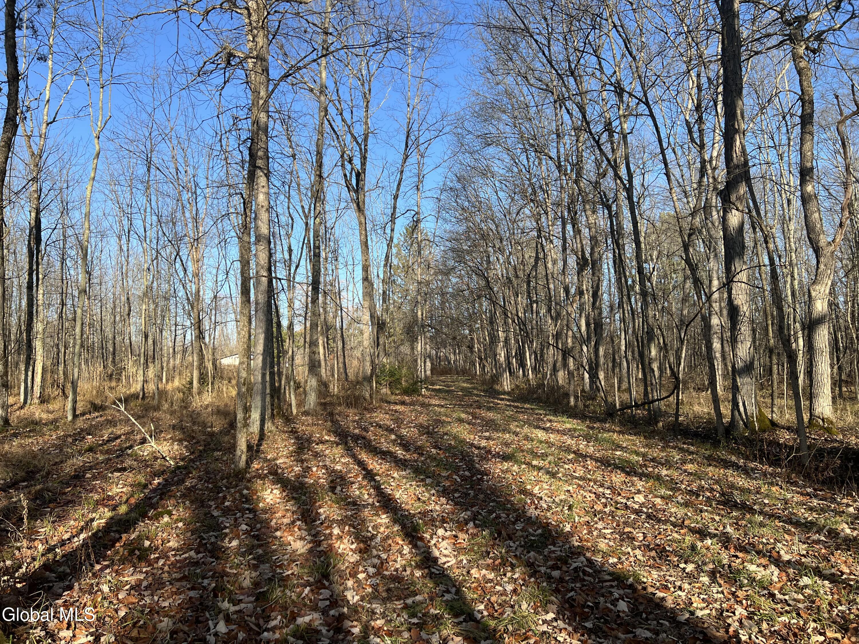 202 Meadowbrook Road Saratoga Springs NY 12866