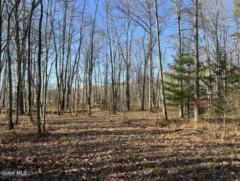 202 Meadowbrook Road Saratoga Springs NY 12866
