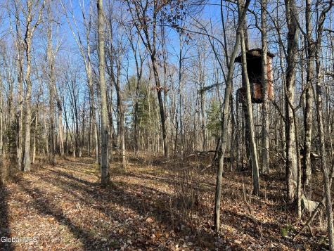 202 Meadowbrook Road Saratoga Springs NY 12866