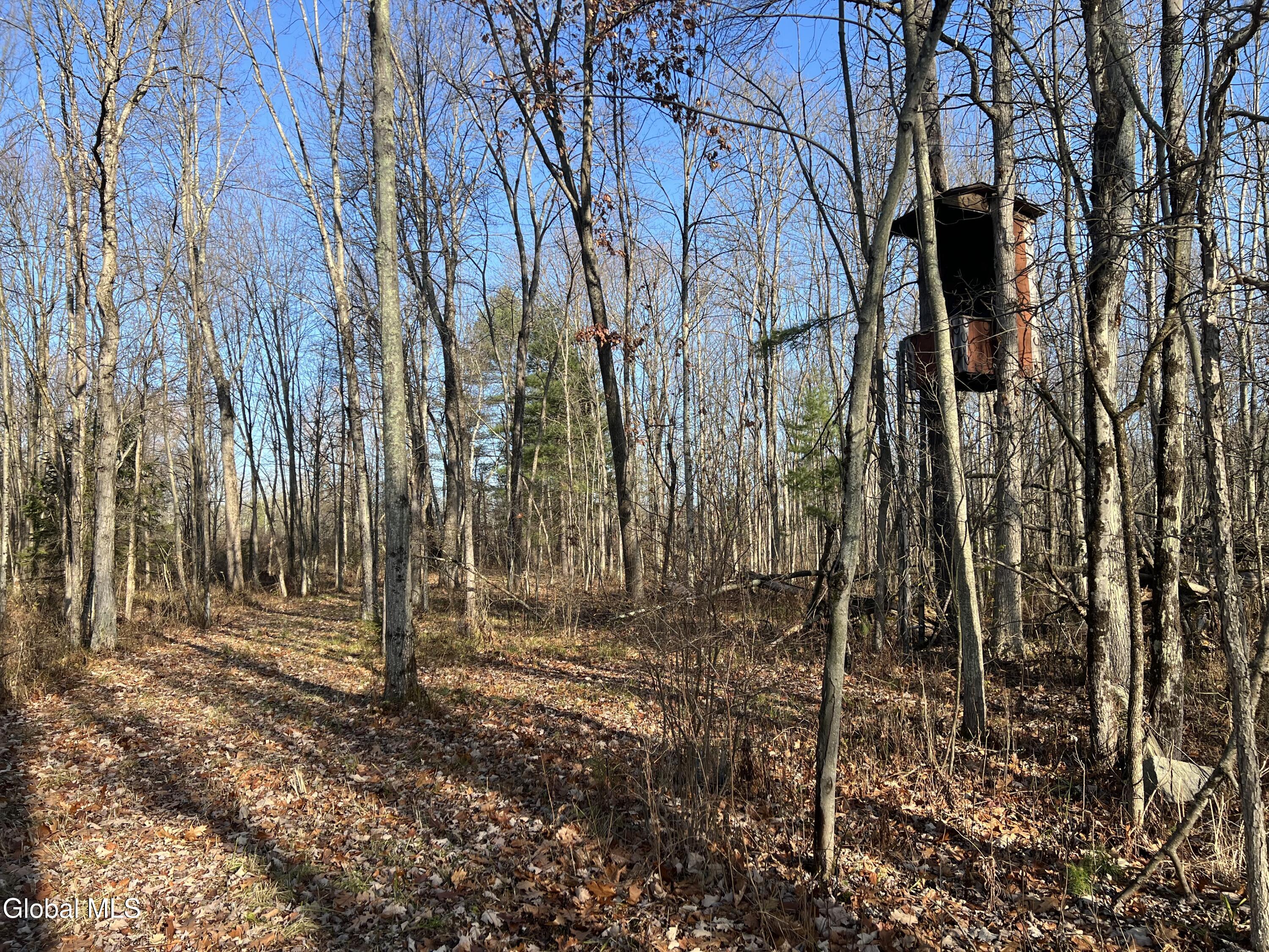 202 Meadowbrook Road Saratoga Springs NY 12866