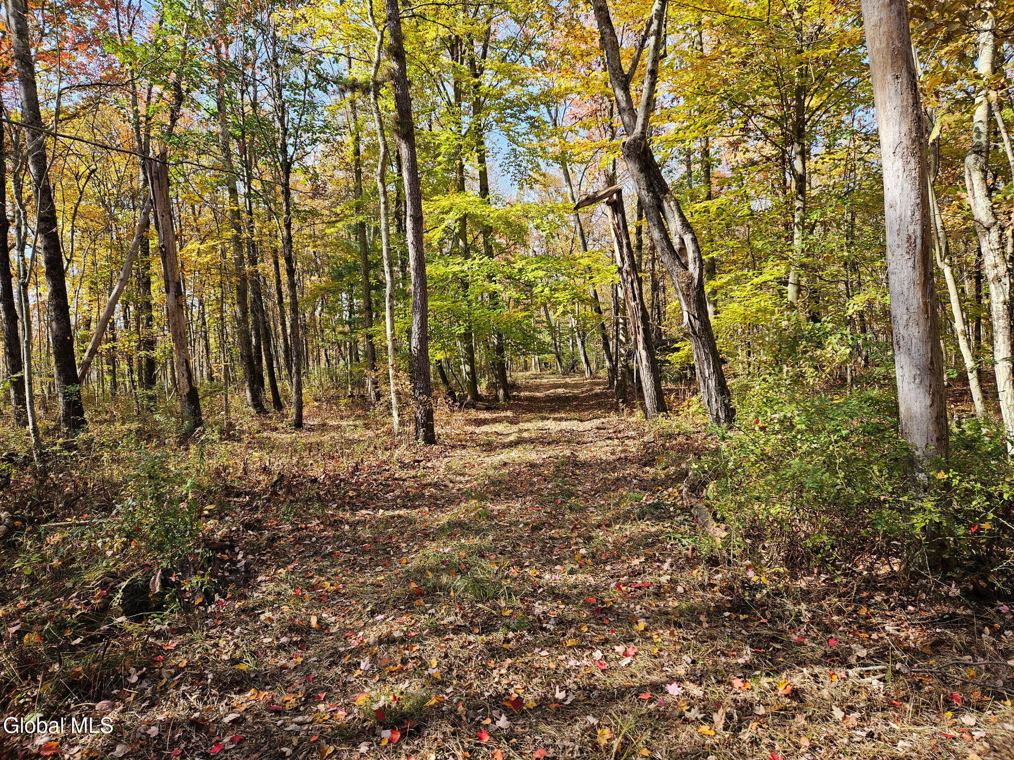 202 Meadowbrook Road Saratoga Springs NY 12866