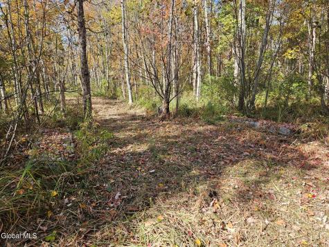 202 Meadowbrook Road Saratoga Springs NY 12866