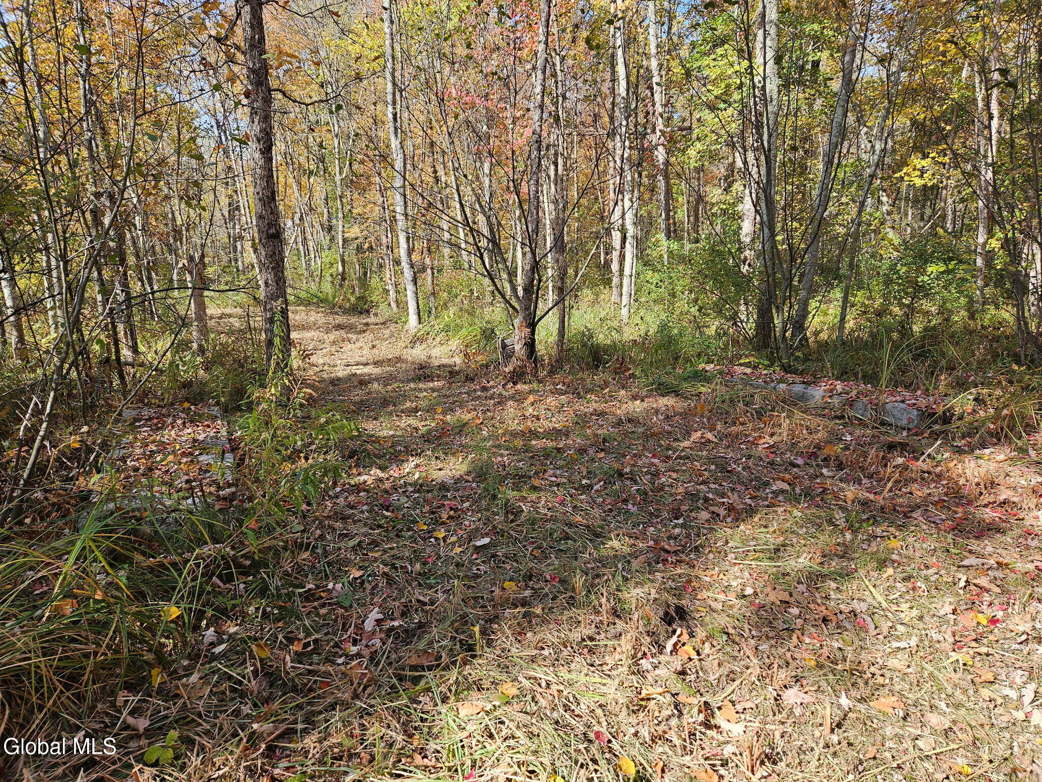 202 Meadowbrook Road Saratoga Springs NY 12866