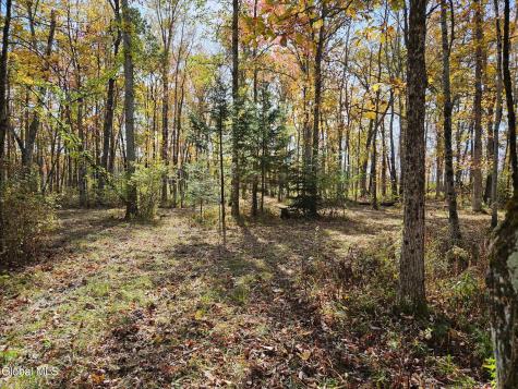 202 Meadowbrook Road Saratoga Springs NY 12866
