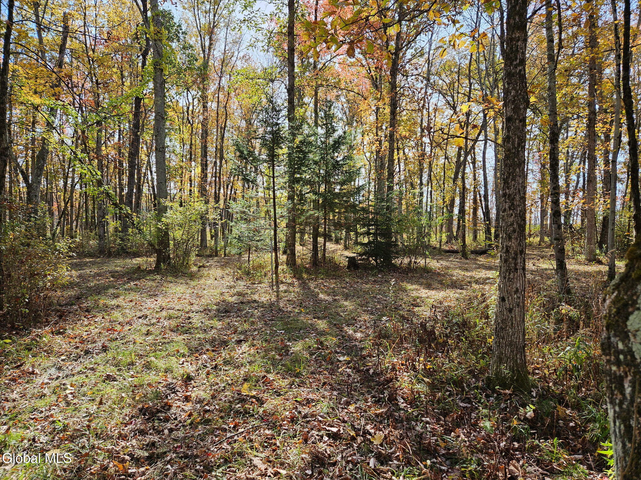 202 Meadowbrook Road Saratoga Springs NY 12866