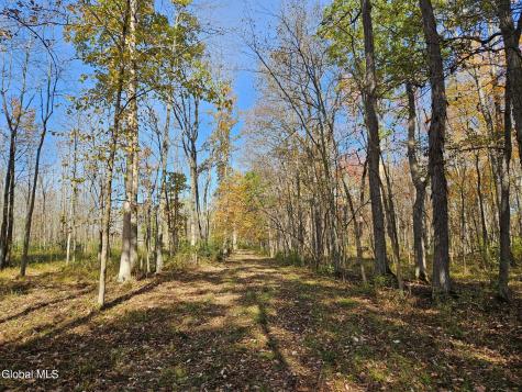 202 Meadowbrook Road Saratoga Springs NY 12866