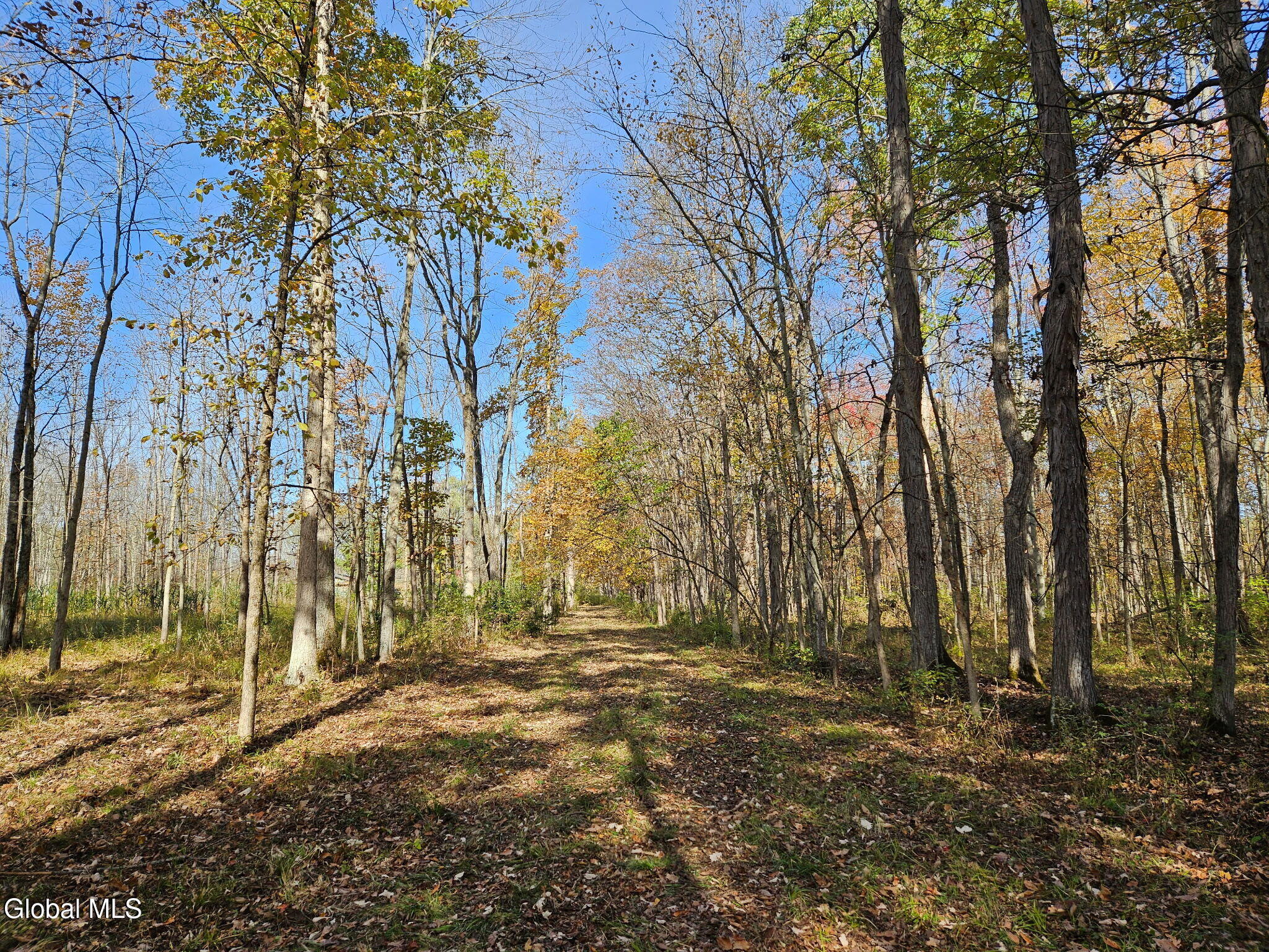 202 Meadowbrook Road Saratoga Springs NY 12866