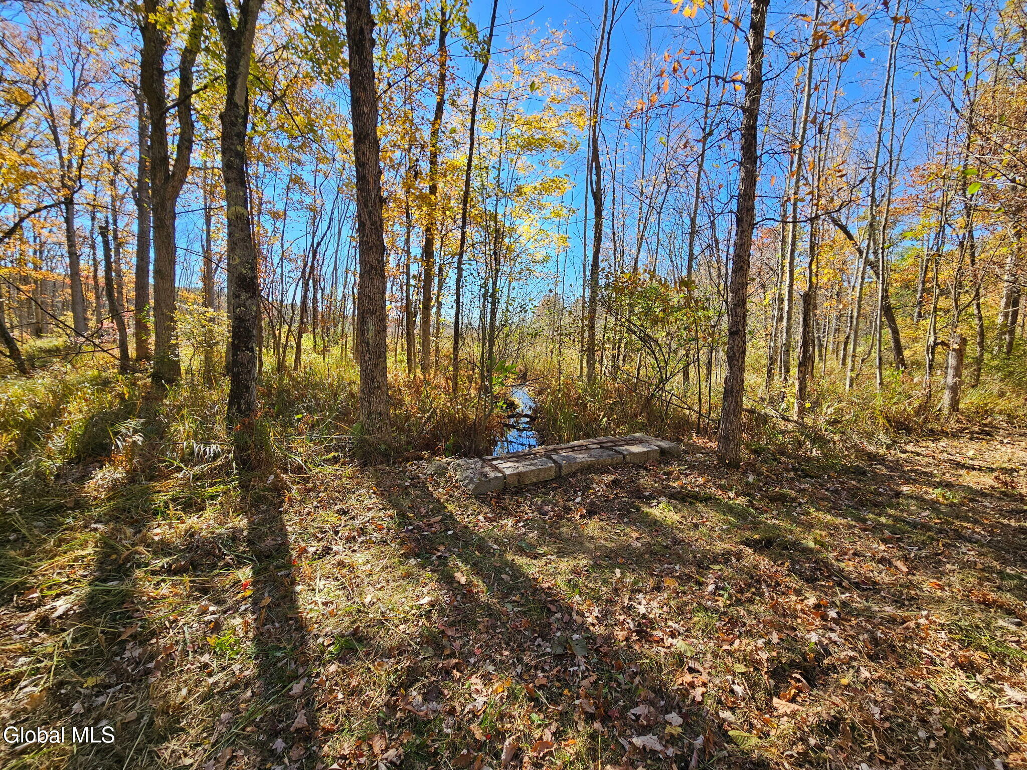 202 Meadowbrook Road Saratoga Springs NY 12866
