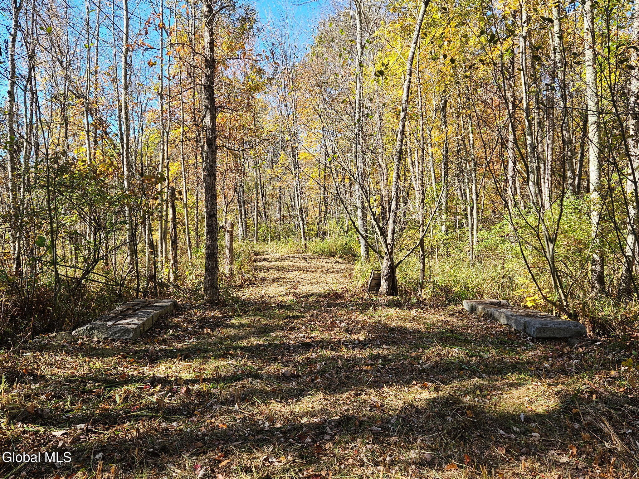 202 Meadowbrook Road Saratoga Springs NY 12866