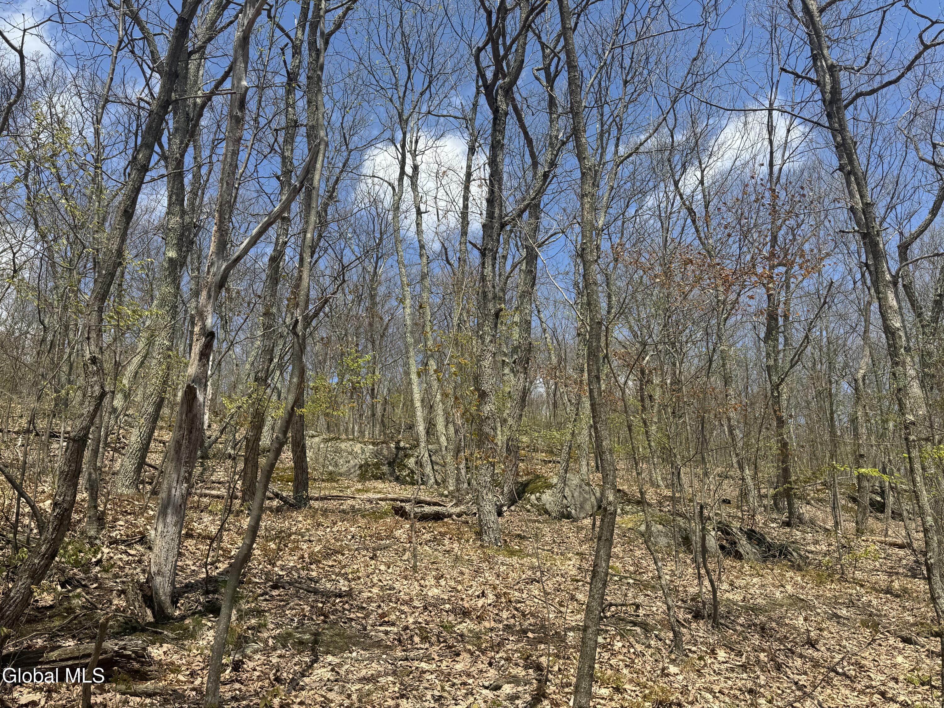 L25 Bromley Lane Granville NY 12832