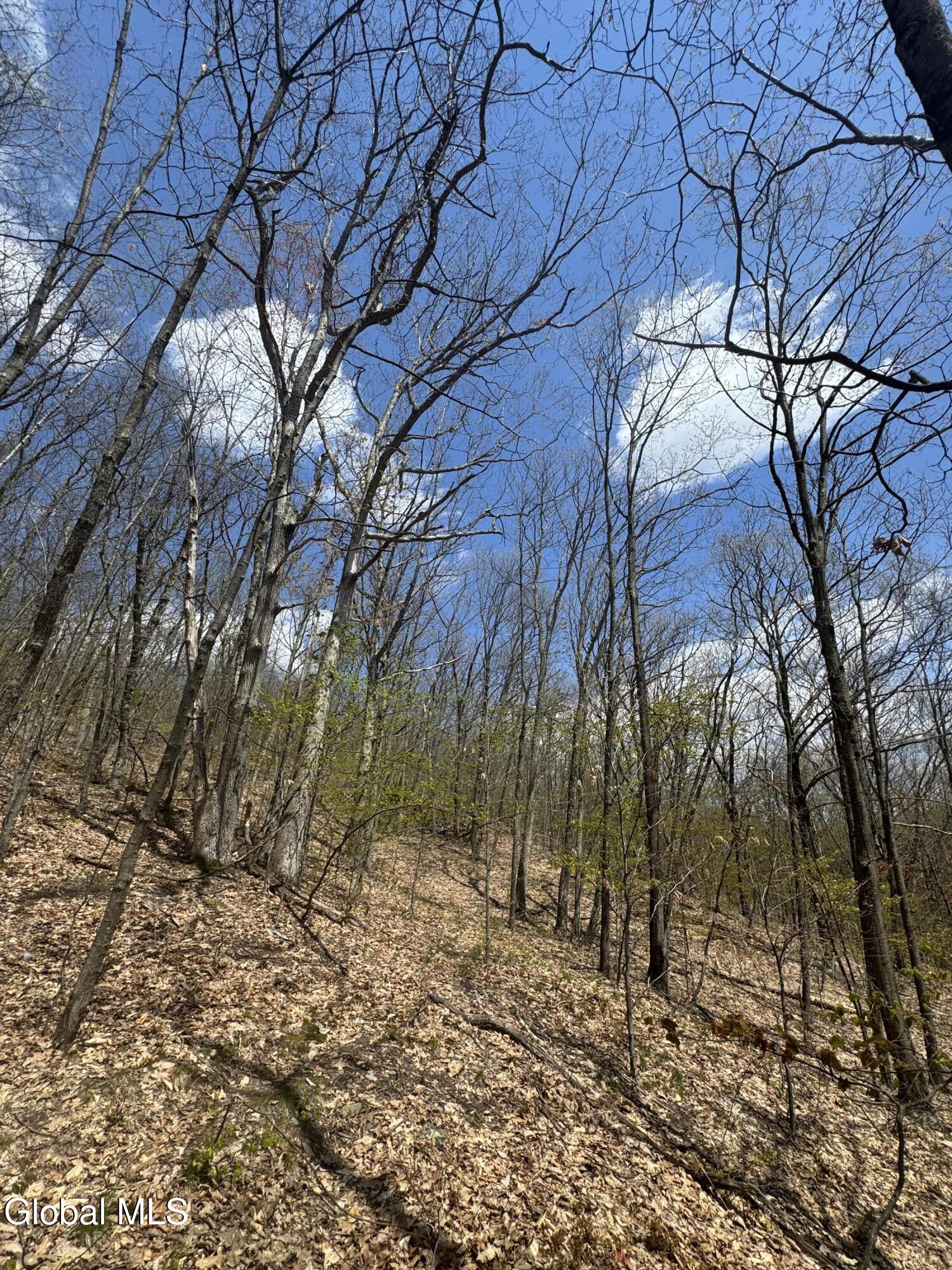 L25 Bromley Lane Granville NY 12832
