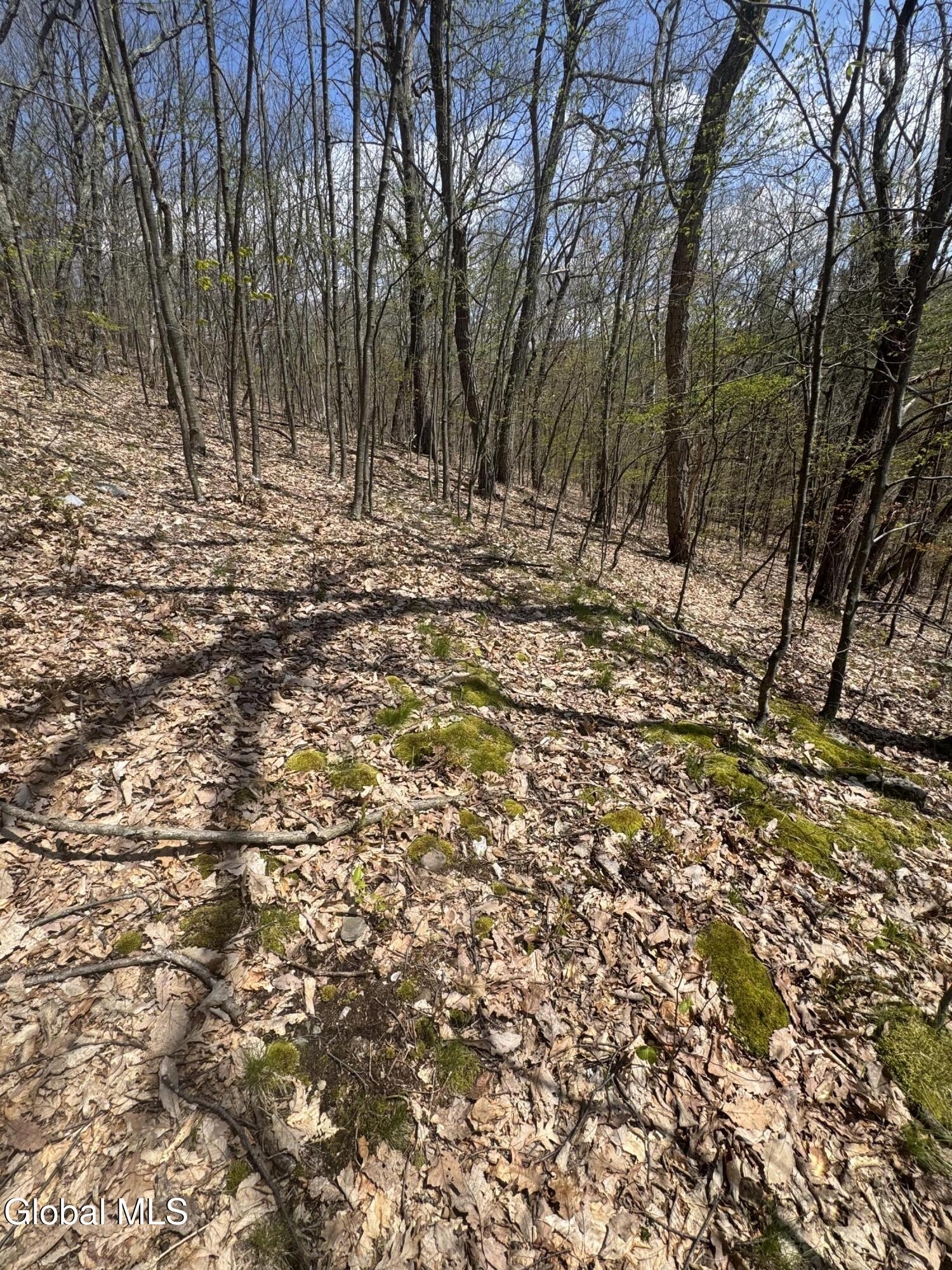 L25 Bromley Lane Granville NY 12832