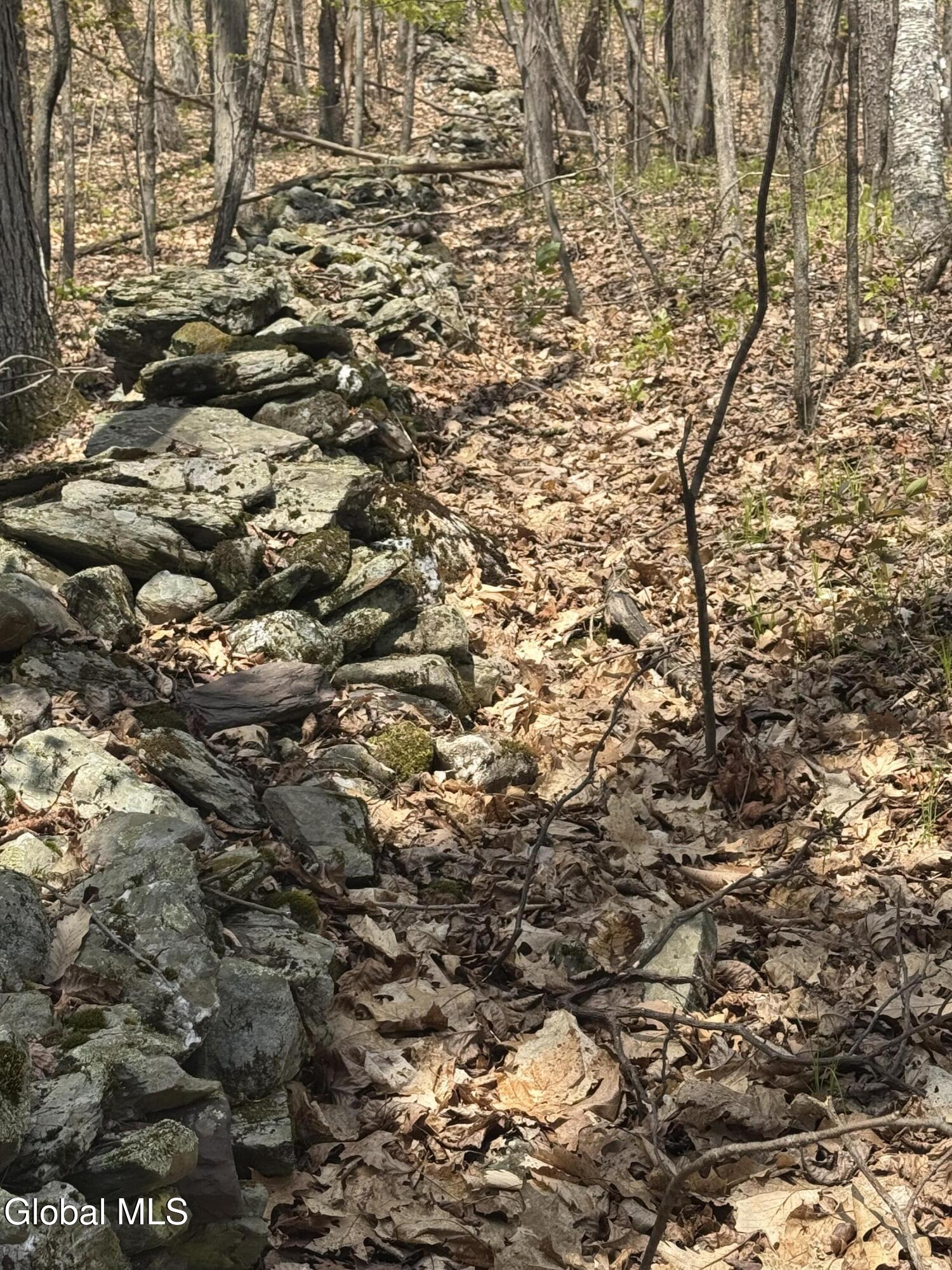 L25 Bromley Lane Granville NY 12832