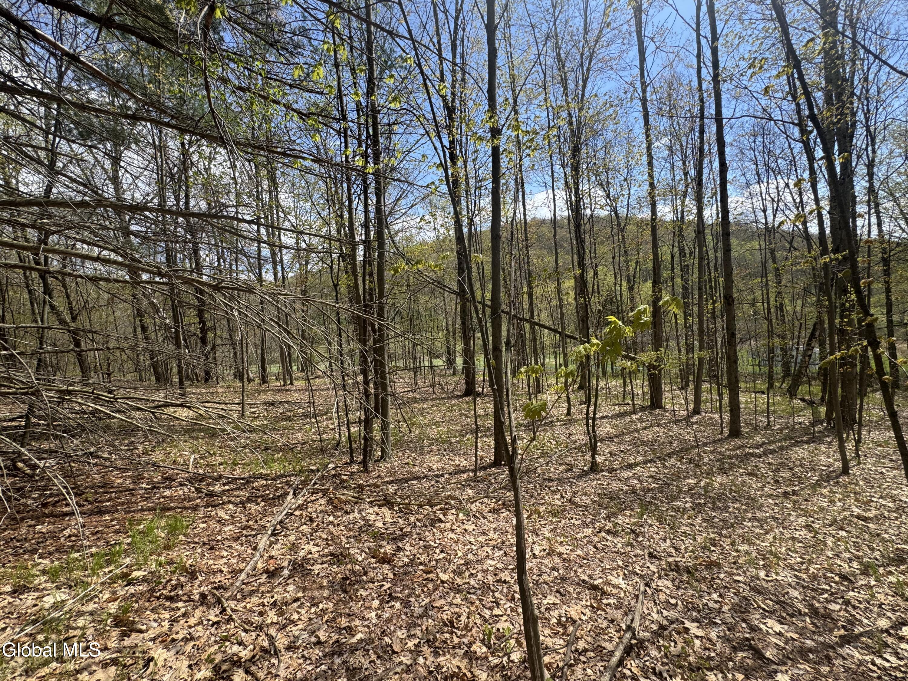 L25 Bromley Lane Granville NY 12832