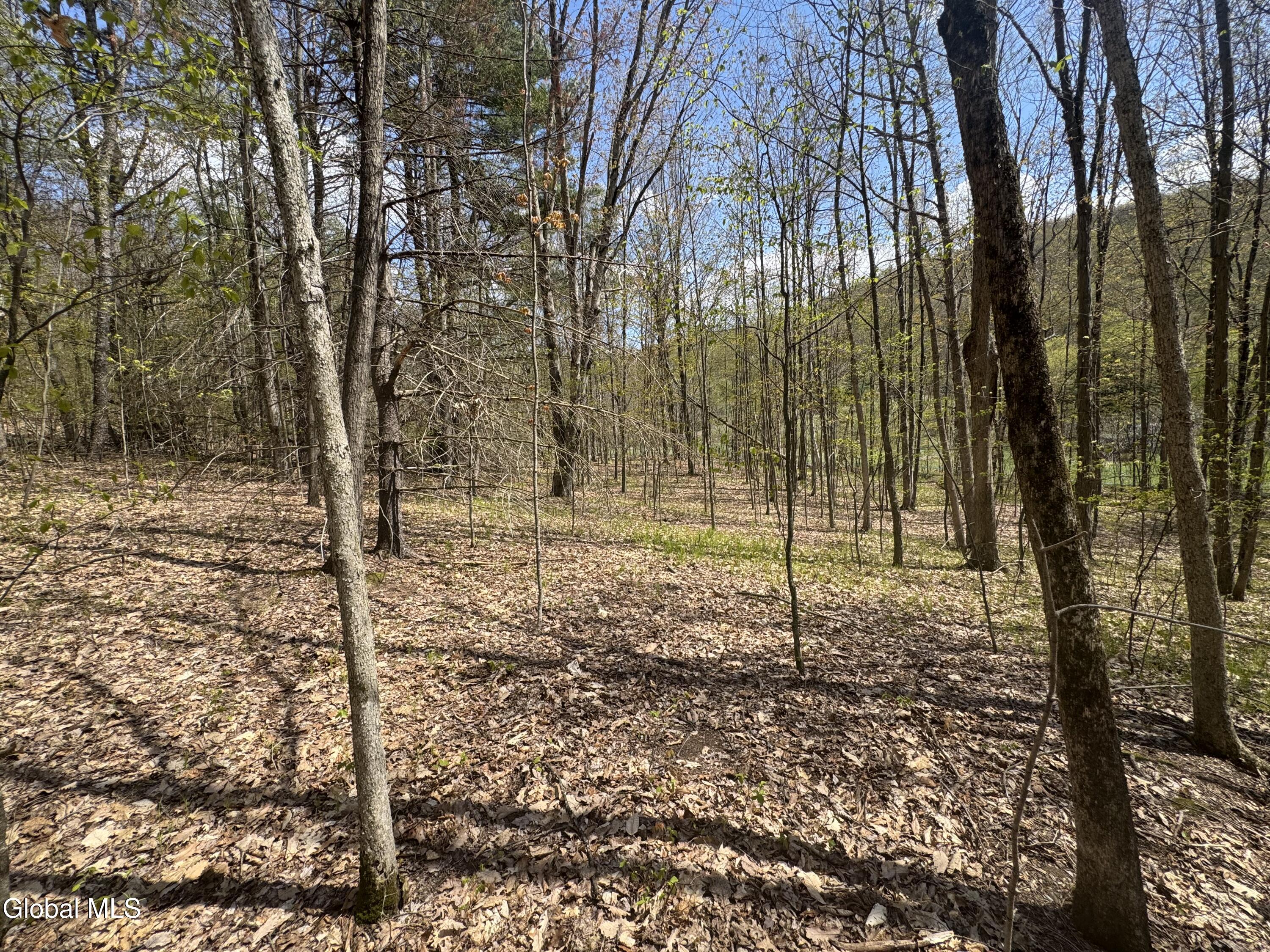 L25 Bromley Lane Granville NY 12832